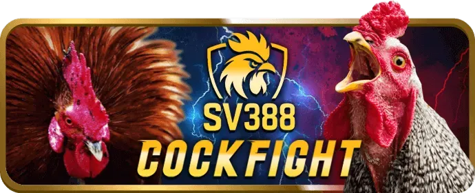 Quy trình rút tiền big79